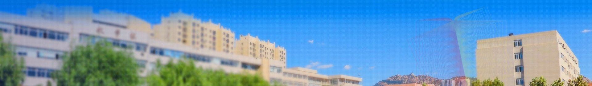 开元平台app下载隆重举行2026年